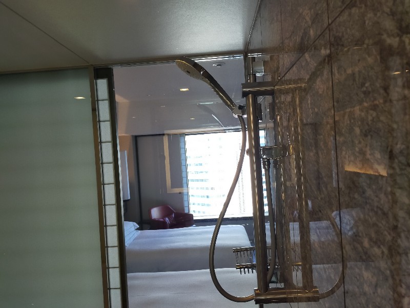 ヒルトン東京（西新宿）エグゼクティブツインの部屋のシャワー